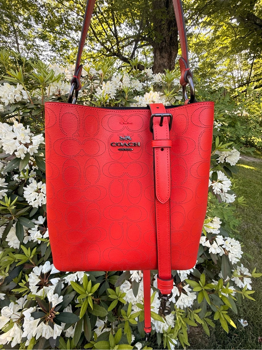 Coach Town Bucket Bag